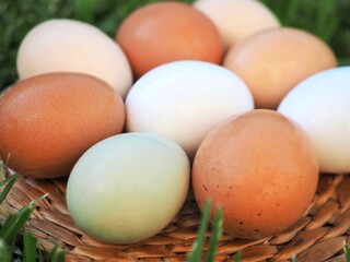 Eggs in various colors rest on green grass. These natural, farm-fresh, organic eggs are displayed in an outdoor, countryside setting, showcasing a mix of pastel, brown, white, and green hues
