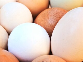 Close-up of a variety of eggs in different colors, including brown, white, and green. Farm chicken eggs