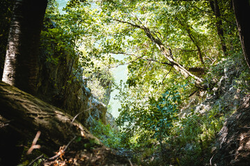 Forest cliff with sunlit trees and a river is perfect for adventure and relaxation