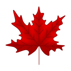 Naklejka premium Red maple leaf raster illustration