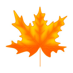 Orange maple leaf raster illustration