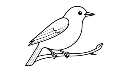 beautiful outline of a bird sitting on stick in vector on white background