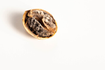 Rotten and moldy walnut on a white background. Brain disease concept, meningitis and and Alzheimer's disease, close-up. Copy space for text