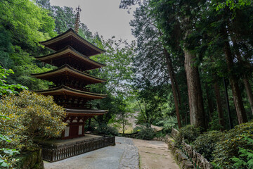 室生寺