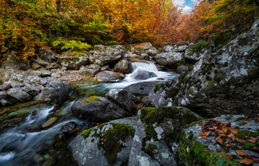 Autumn waterfall in autumn forest