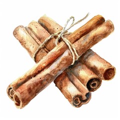 1. A cinnamon stick clipart, spice element, watercolor illustration, pastel, isolated on white background