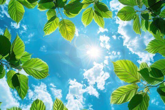 Ozone design with green leaves on blue sky background.World ozone day.