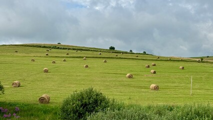 hay field and clouds © Augustin