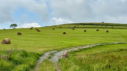 hay field and sky © Augustin