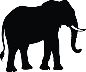 Fototapeta premium Elephant silhouette isolated on white