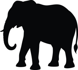 Obraz premium Elephant silhouette isolated on white