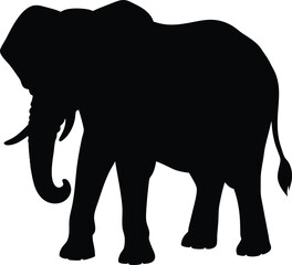 Elephant silhouette isolated on white