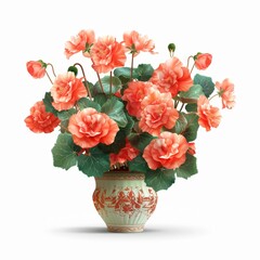 Lush and Colorful Begonia Plant in Decorative Pot - Photorealistic Botanical Beauty on White Background