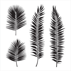 Fototapeta premium Beautiful palm tree leaf set silhouette white background 