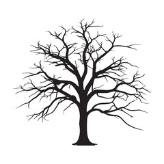 Bare tree silhouette background. tree without leaves silhouette white background
