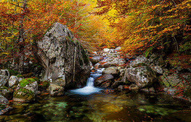Autumn waterfall stream in autumn forest