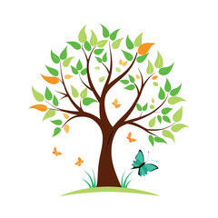 Different types of trees illustration