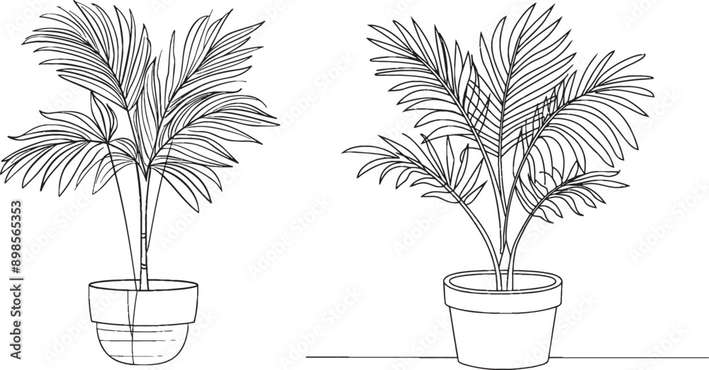 Poster an indoor palm plant in a pot with a continuous outline illustration. editable strokes.