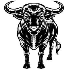 black and white bull 