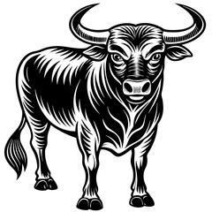 black and white bull 