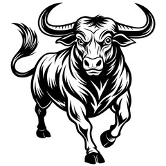 black and white bull 