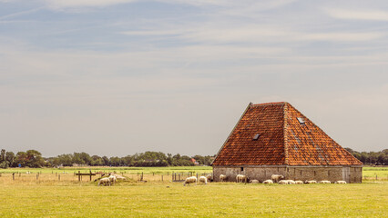 Traditonal ols Sheep barn on the wadden island Texel in the Netherlands