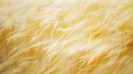 Golden grass sways gently in the wind under soft sunlight, creating a serene and peaceful atmosphere in the meadow. The blades appear delicate, almost whispering in motion.