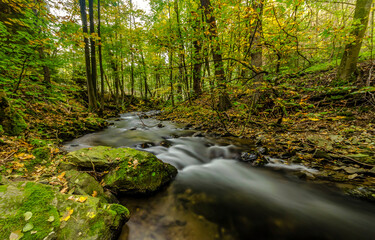 waterfall in autumn forest
