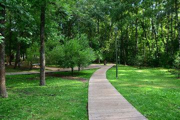 a path in a park with green grass and green trees  