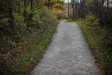 Obraz premium Bike path and hiking trail, not yet illuminated by the morning sunshine within the Pike Lake Unit, Kettle Moraine State Forest, Hartford, Wisconsin