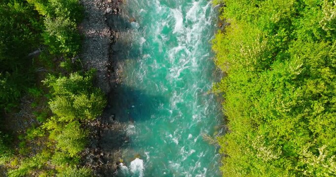 Top down view of fast moving river surrounded by pine forest. Canada 