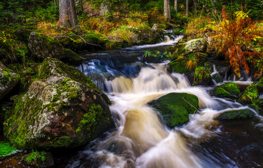 Autumn waterfall in the forest