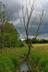 Alter Steinbruch bei Holzhausen, Gemeinde Dittelbrunn, Landkreis Schweinfurt, Unterfranken, Bayern,...