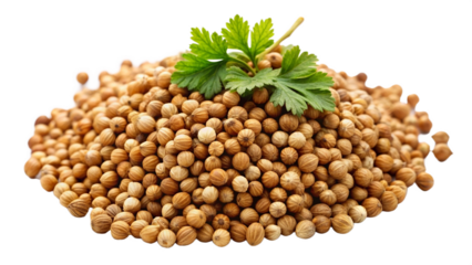 Healthy spice coriander seed on transparent background