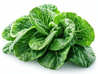 Crisp Green Lettuce Leaf Isolated on Transparent Background for Food Design Projects