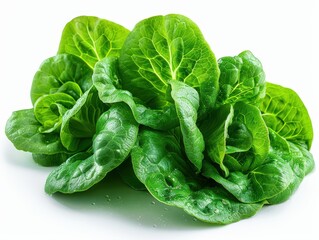 Crisp Green Lettuce Leaf on Transparent Background for Design Projects