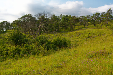 Obraz premium Naturschutz- und Landschaftsschutzgebiet Höhfeldplatte bei Thüngersheim, Landkreis Main-Spessart, Unterfranken, Bayern, Deutschland
