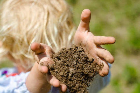 Celebrating Independence Day of Ukraine With Children Playing and Holding Soil in Their Hands