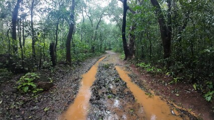 Idyllic hiking route in Matheran hill station, showcasing the beauty of the surrounding nature
