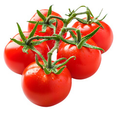 Red tomatoes still on the vine. PNG element isolated on transparent background.
