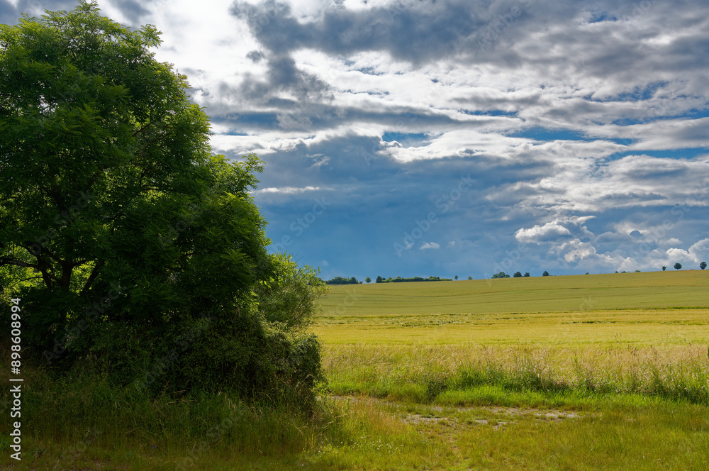 Canvas Prints Landschaft entlang der Wern bei Pfersdorf, Gemeinde Poppenhausen, Landkreis Schweinfurt, Unterfranken, Bayern, Deutschland