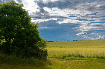 Obraz premium Landschaft entlang der Wern bei Pfersdorf, Gemeinde Poppenhausen, Landkreis Schweinfurt, Unterfranken, Bayern, Deutschland