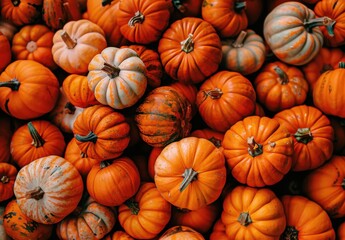 Autumn Pumpkins