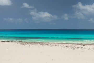 Amazaing color of water on beach in Socotra- unique island with unique plants and landscapes.