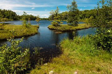 The calm waters of Little Carr Lake, near Hazelhurst, Wisconsin awaits the canoeist in mid-June, as the bogs protect the launching point