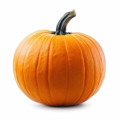 Obraz premium Orange Pumpkin