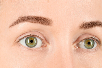 Naklejka premium Woman with beautiful green eyes, closeup view