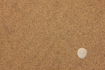 A small white stone is partially buried in the frozen beach sand at Kohler-Andrae State Park, Sheboygan, Wisconsin in late February