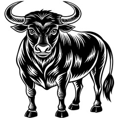 Fototapeta premium bull Vector