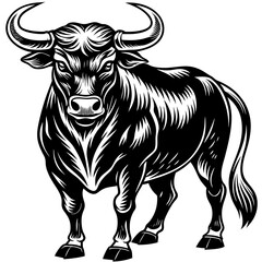bull Vector